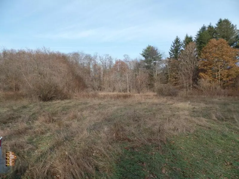 120th Avenue C, Ganges Twp, MI 49408