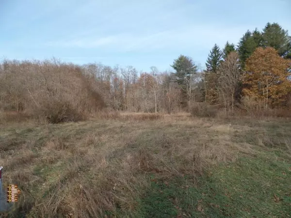 Ganges Twp, MI 49408,120th Avenue C