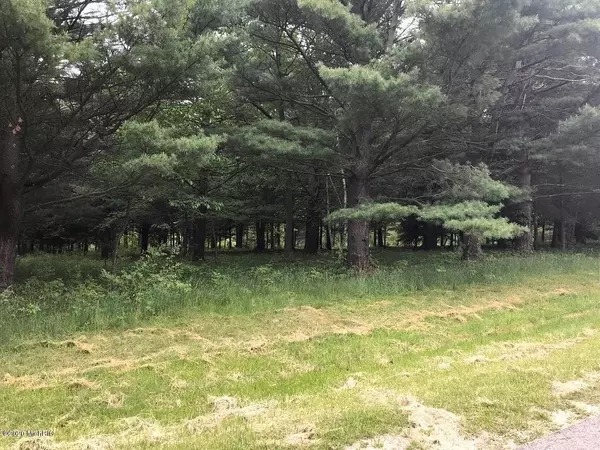 Ganges Twp, MI 49090,Lot 8 Creekwood Drive