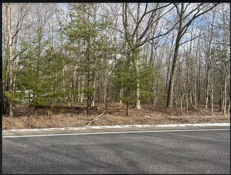 VL Nord Road Modifier: 14, 15, 16, Fruitland Twp, MI 49445