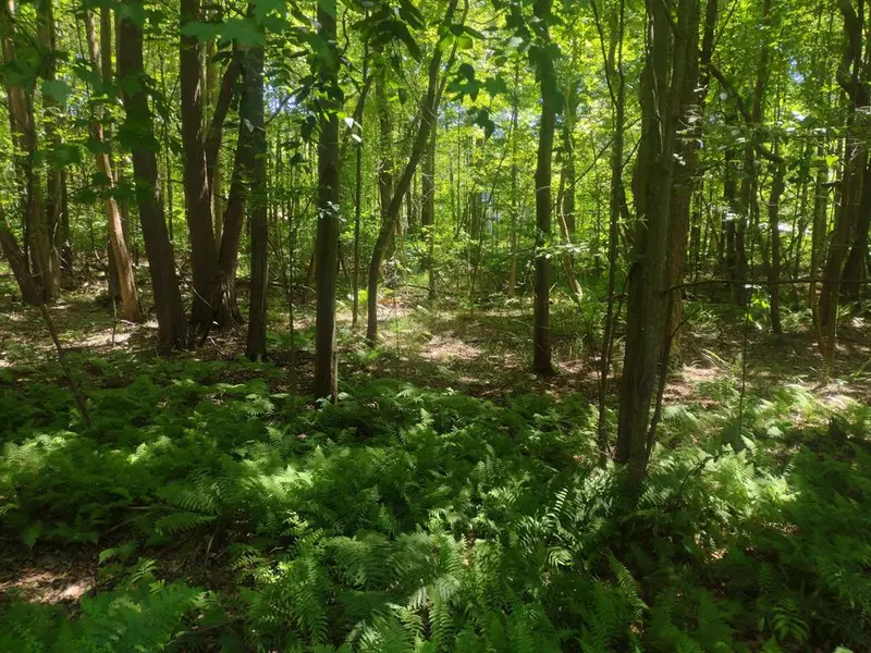 0000 Silver Road, Ganges Twp, MI 49416