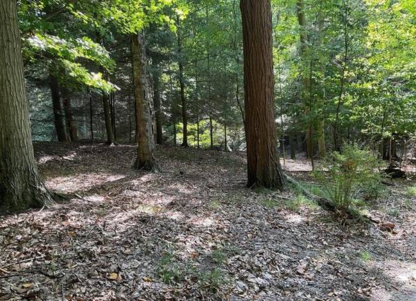 Lot 7 Dunewood Trail,  White River Twp,  MI 49437