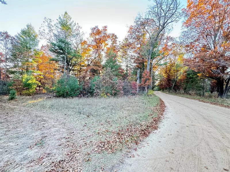 4.98ac E 58th Street, Brooks Twp, MI 49337