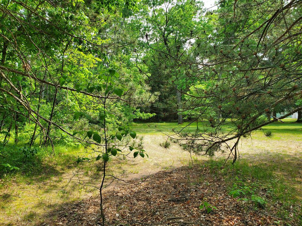 Wilcox Twp, MI 49349,998 E Monroe Street
