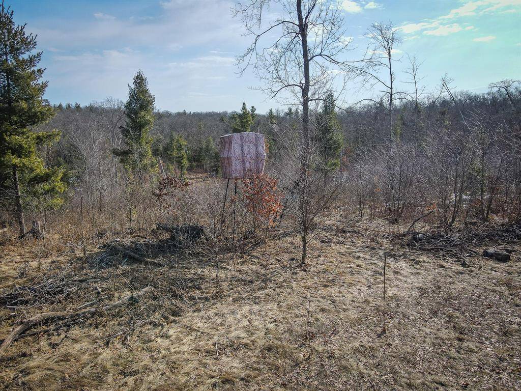 Whitehall Twp, MI 49461,V/L ''B'' Hyde Park Road