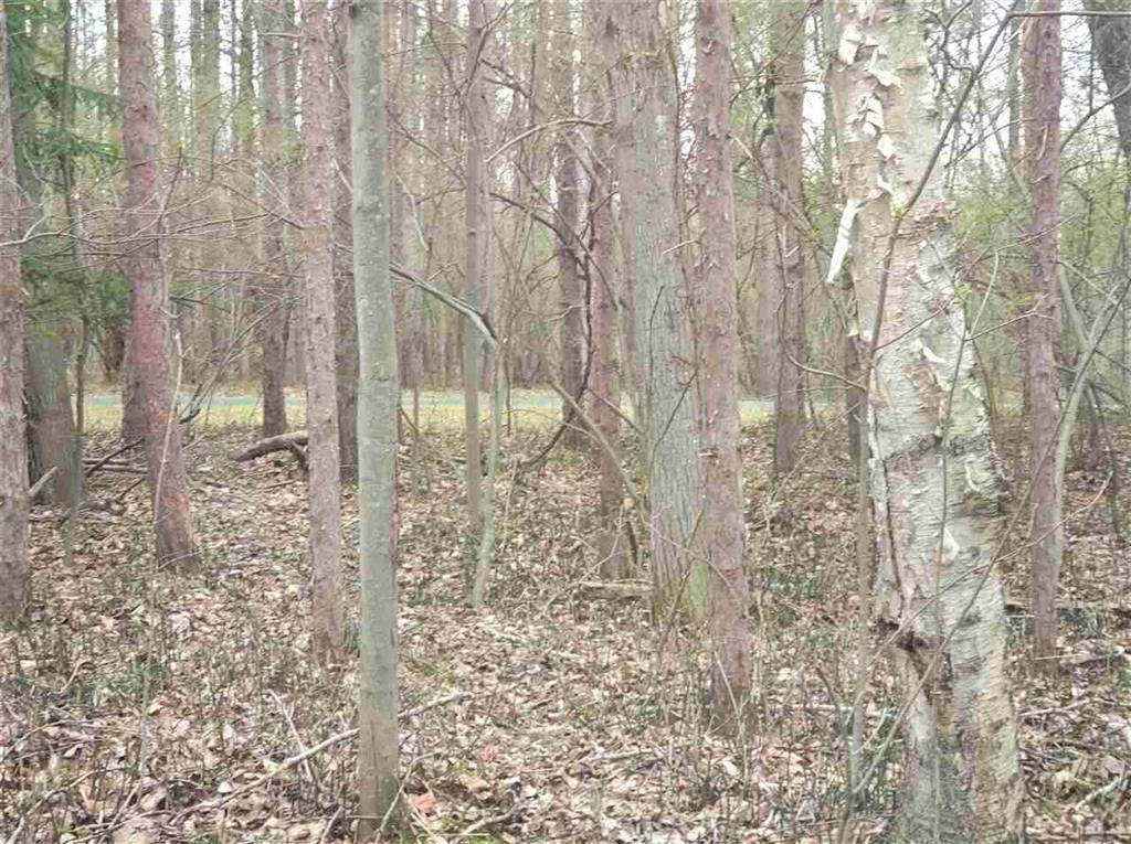 Lincoln Twp, MI 48858,4209 Fairway Lane