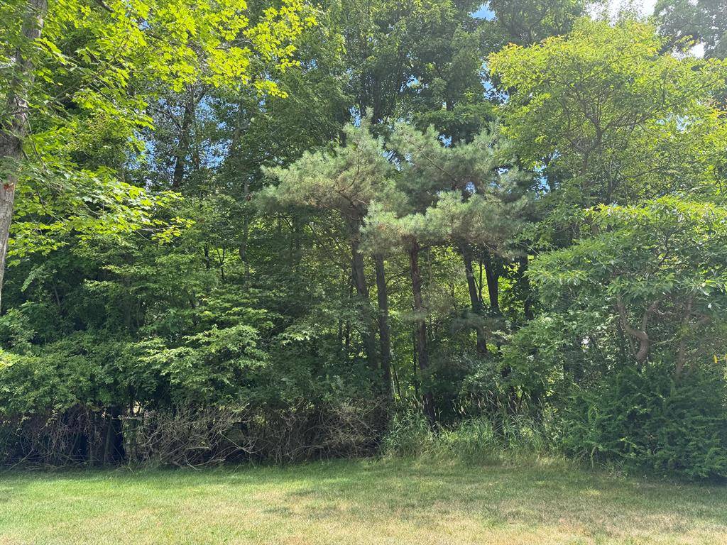 Douglas Vllg, MI 49406,125 W Shore Woods