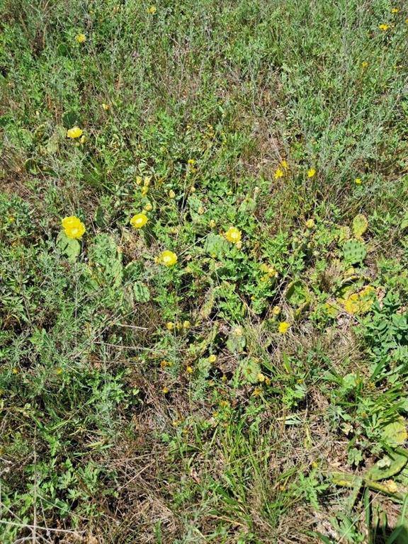 Brooks Twp, MI 49337,12.86AC Barberry Avenue