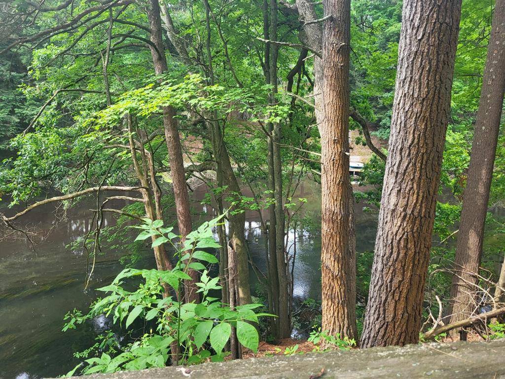Whitehall Twp, MI 49461,2033 Eilers Drive