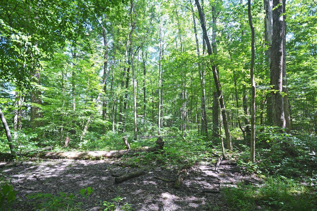 52251 17th Avenue, Columbia Twp, MI 49056