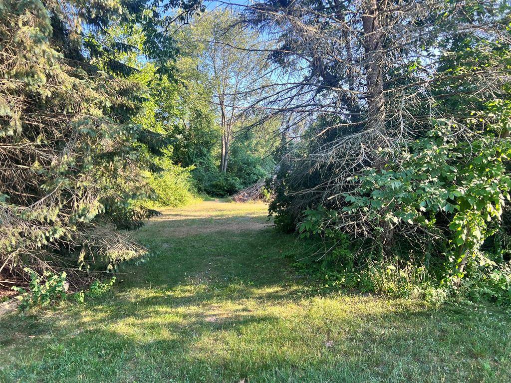 1736 Washington Street, Park Twp, MI 49424