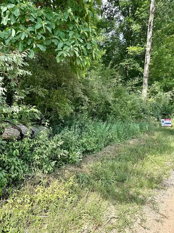 Branch Twp, MI 49402,V/L E Decker Road