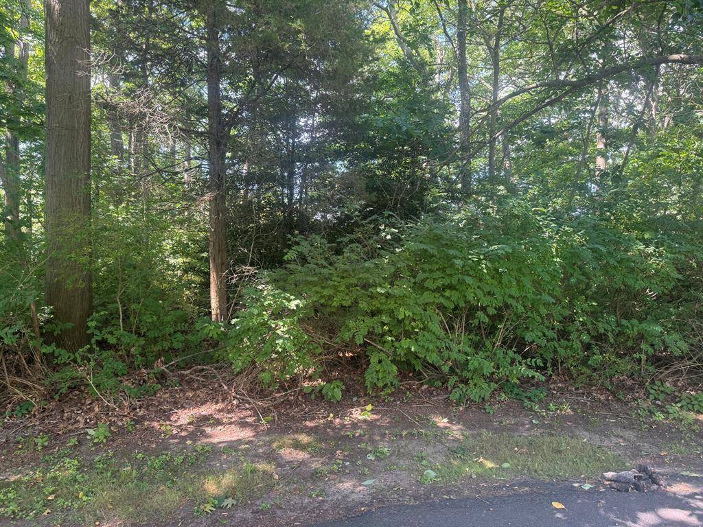 Saugatuck Twp, MI 49453,6546 Heron Ridge Road