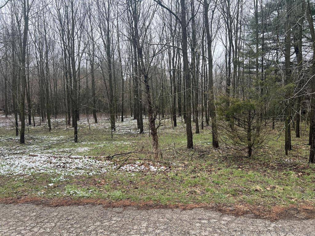 Drew St Street, Paw Paw Vlg, MI 49079