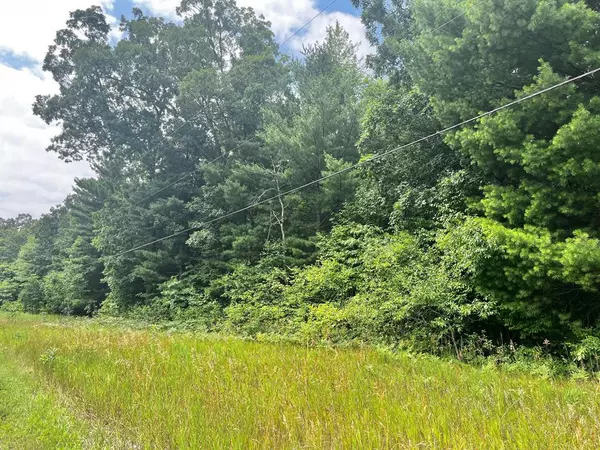 Montague Twp, MI 49437,VL Sikkenga Road Modifier: 11.663 acres Parcel C