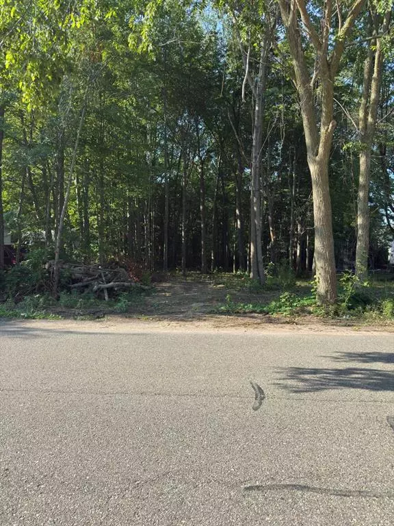 Holland Twp, MI 49424,V/L Jack Street