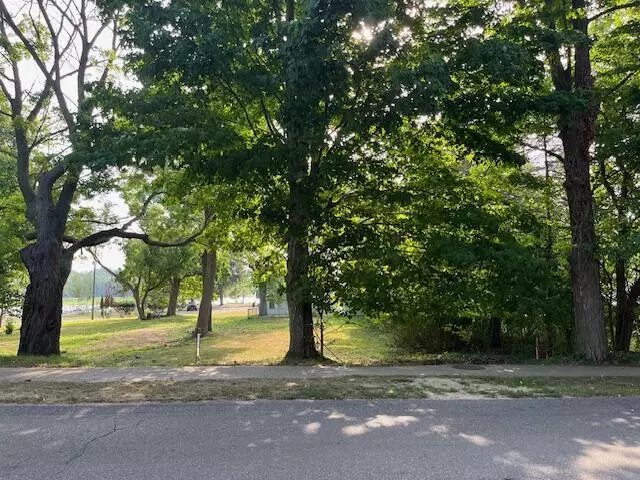 Douglas Vllg, MI 49406,163 N Main Street Parcel 3.1
