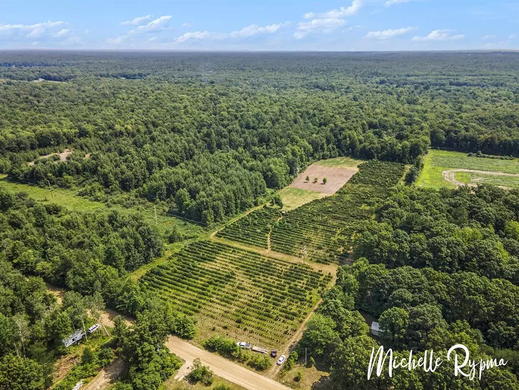 Lee Twp, MI 49450,39 Acres 55th Street