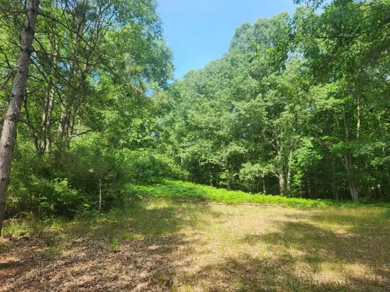 7373 S Riverbend Road Lot# 53, Logan Twp, MI 49402