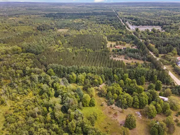 Bear Lake Twp, MI 49614,VL Potter Road