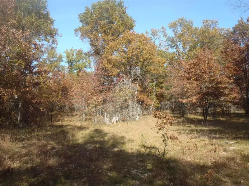 TH 10 E 40th, Cherry Valley Twp, MI 49642