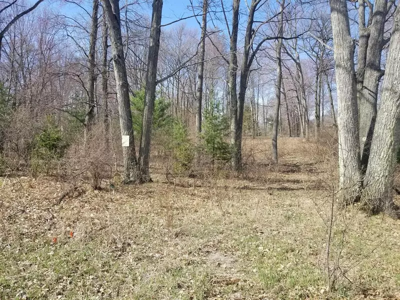 0 15 Mile Rd, Big Rapids Twp, MI 49307