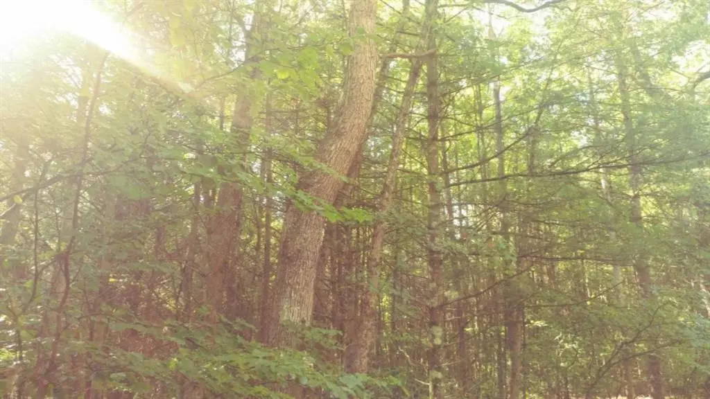 Par A-3 Spruce Road, Yates Twp, MI 49642