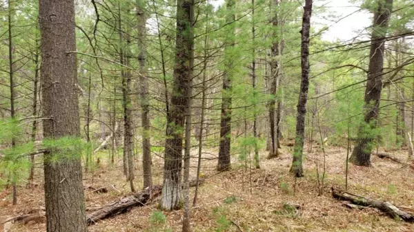 Cherry Valley Twp, MI 49304,E US10