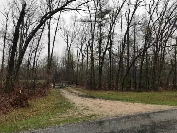 Parcel B W Almy Road, Reynolds Twp, MI 49329