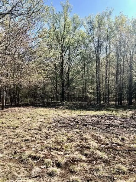 5208 230th Avenue, Richmond Twp, MI 49677