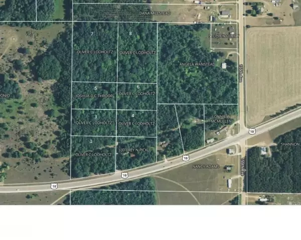 Hersey Twp, MI 49639,00 US10 Lot 4