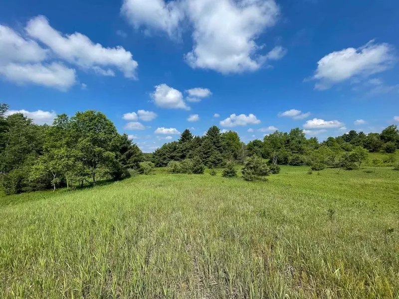 V/L Leroy Road, Leroy Twp, MI 49655