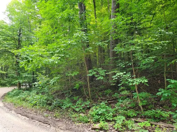 006 Clements, Alanson, MI 49706