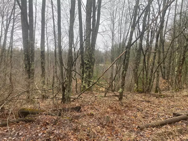 00 Josh Drive, Cherry Valley Twp, MI 49642