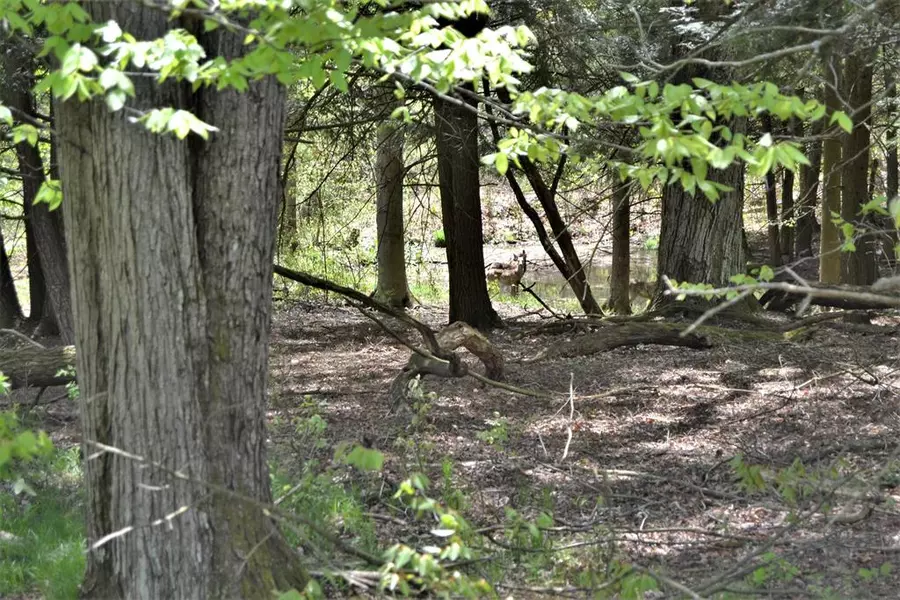 11871 Cypress Avenue, Barton Twp, MI 49338