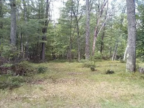 Harmony Boulevard Modifier: 4 Lots, Yates Twp, MI 49642