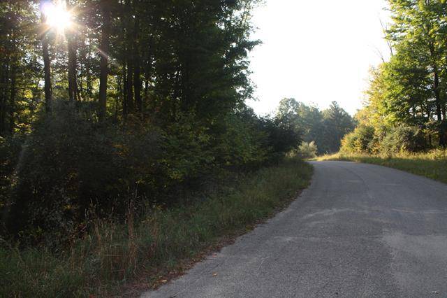 Lot 11 0 Fox Glove Circle 11, Big Rapids Twp, MI 49307