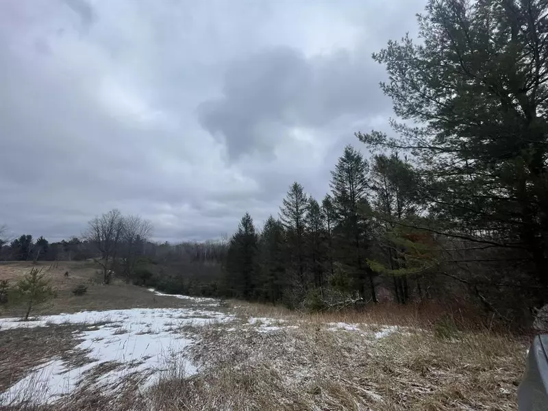 18897 130th Avenue, Sherman Twp - Osceola, MI 49688