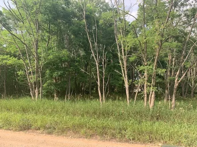 Green Twp, MI 49639,Lot # 120 Old Logging Road