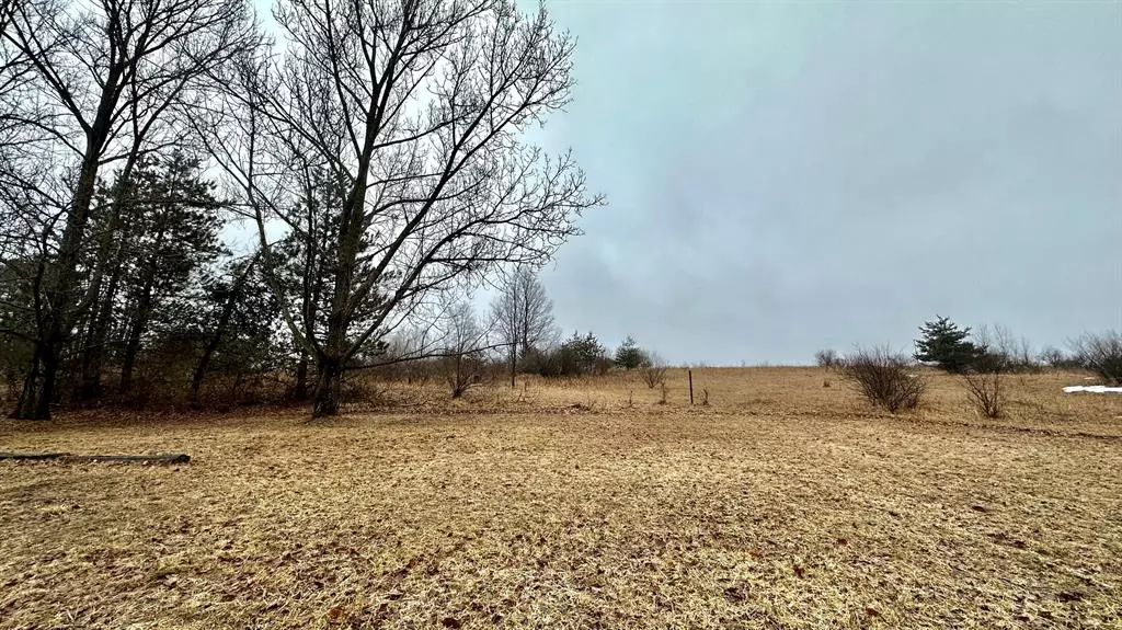 Barryton Vlg-fork Twp, MI 49305,3737 20 Mile Road