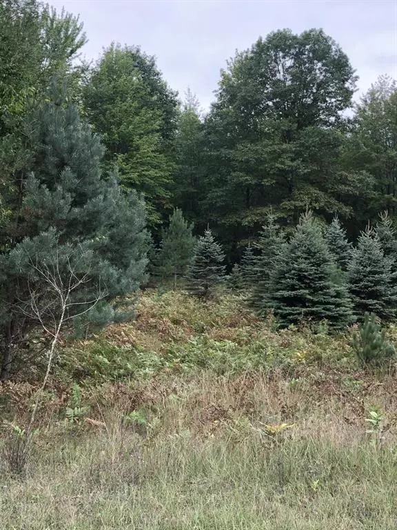 Morton Twp, MI 49346,6135 Fawn Lake Drive