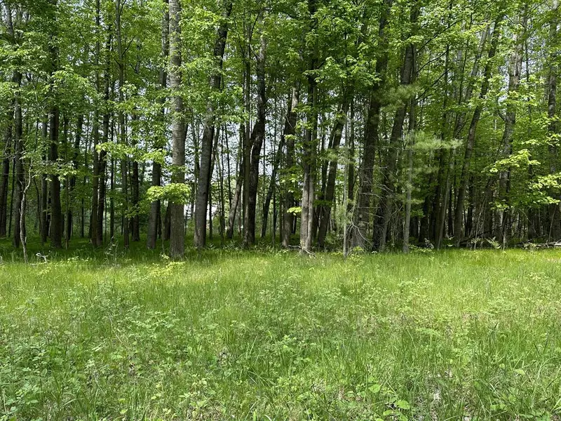 8322 Highland Trail, Austin Twp, MI 49346