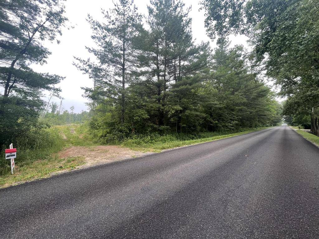 Big Prairie Twp, MI 49337,121.81 E 36th Street