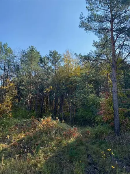 3118 W 104th Street, Ashland Twp, MI 49327