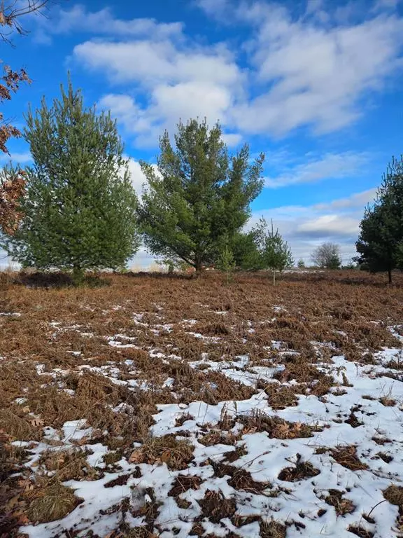 Lot 895 Lake Miramichi Drive, Evart Twp, MI 49631