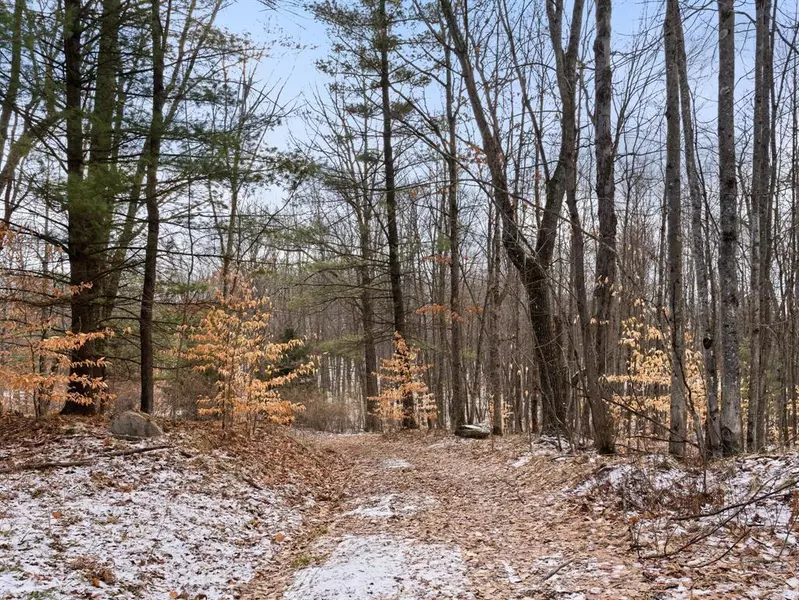 8717 E Deerfield Cir, Pinora Twp, MI 49677