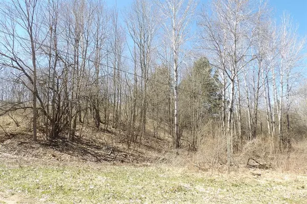 Chippewa Twp, MI 49631,23094 Apache Trail