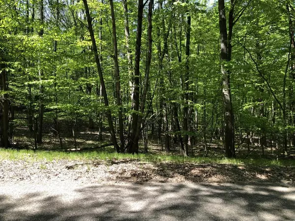 11914 Broken Arrow Lane #238,  Morton Twp,  MI 49346