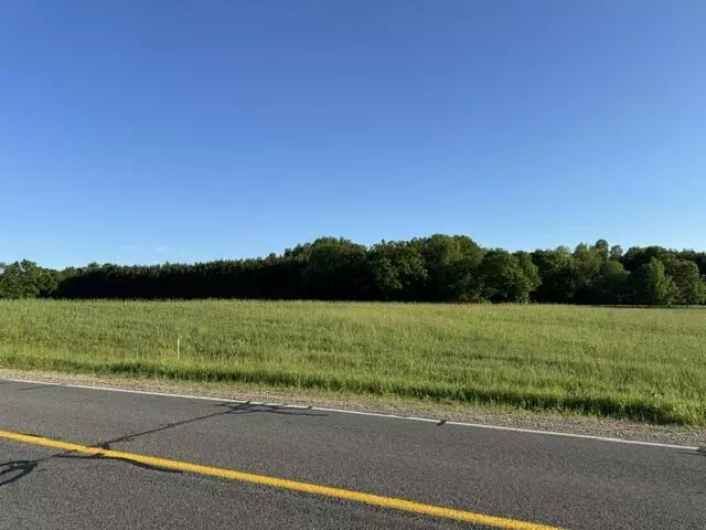 TBD Buchanan Rd Lot B, Austin Twp, MI 49346