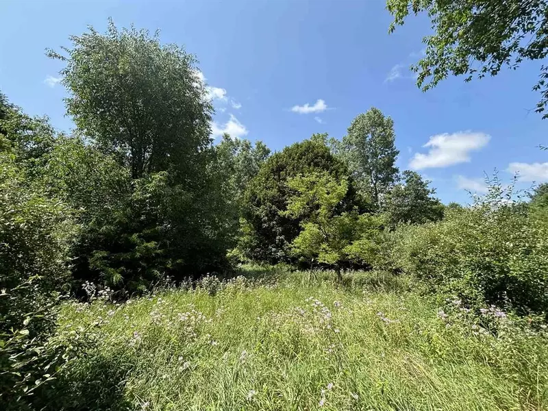 V/L 10A Gale Road, Bennington Twp, MI 48857